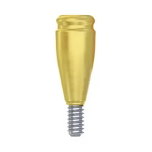 Loc In Abutments CC
