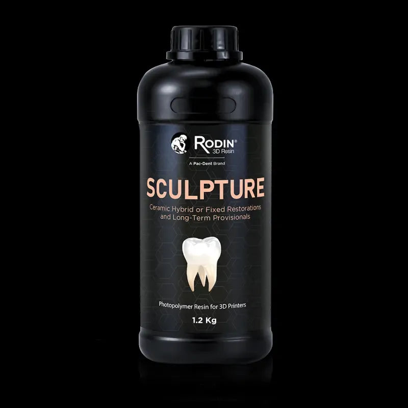 Rodin Sculpture Resin