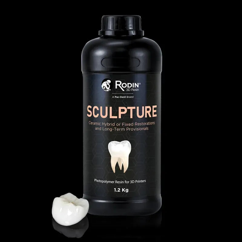 Rodin Sculpture Resin