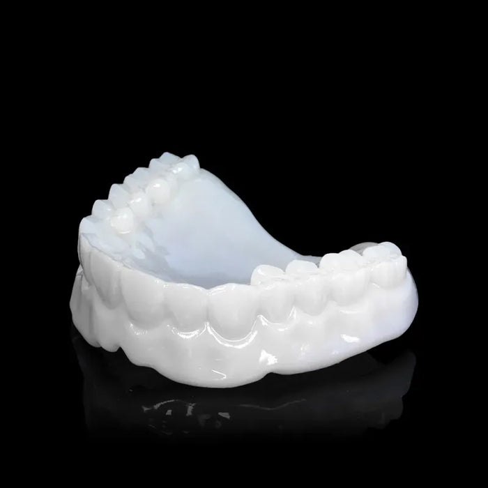 Rodin Try-In Resin 1kg