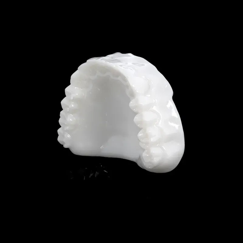 Rodin Try-In Resin 1kg