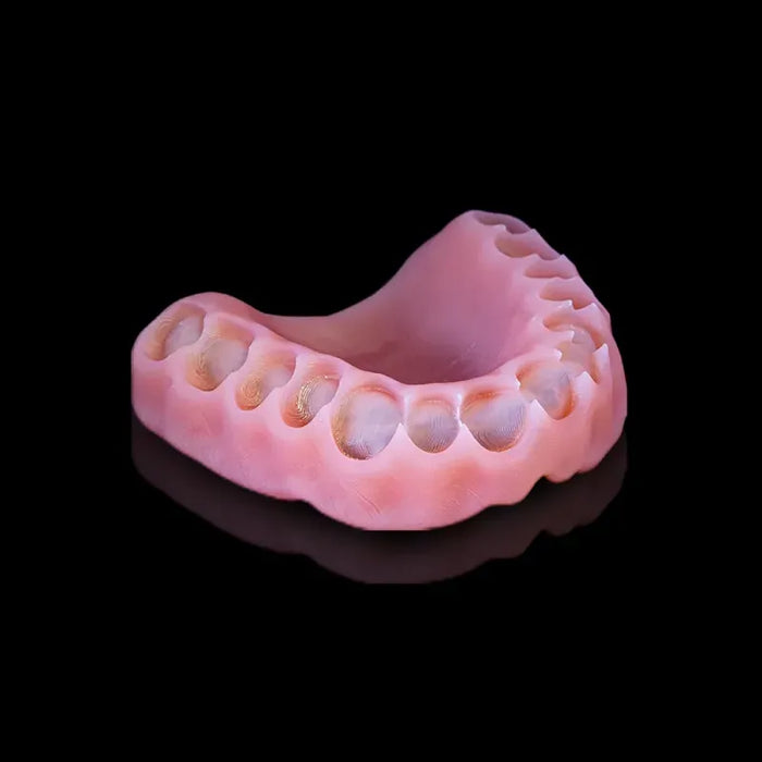 Rodin Denture Base 2.0 - 1kg