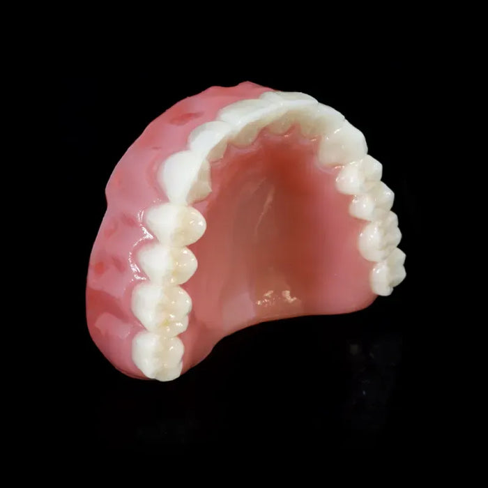 Rodin Denture Base 2.0 - 1kg