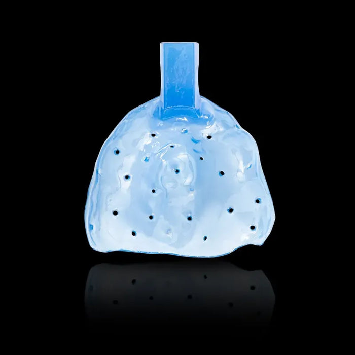 Rodin Bite Tray Resin 1kg