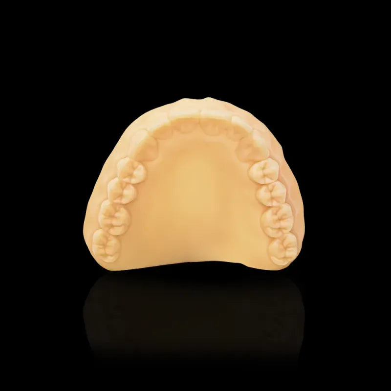 Rodin Model Resin 1kg