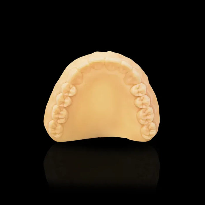 Rodin Model Resin 1kg