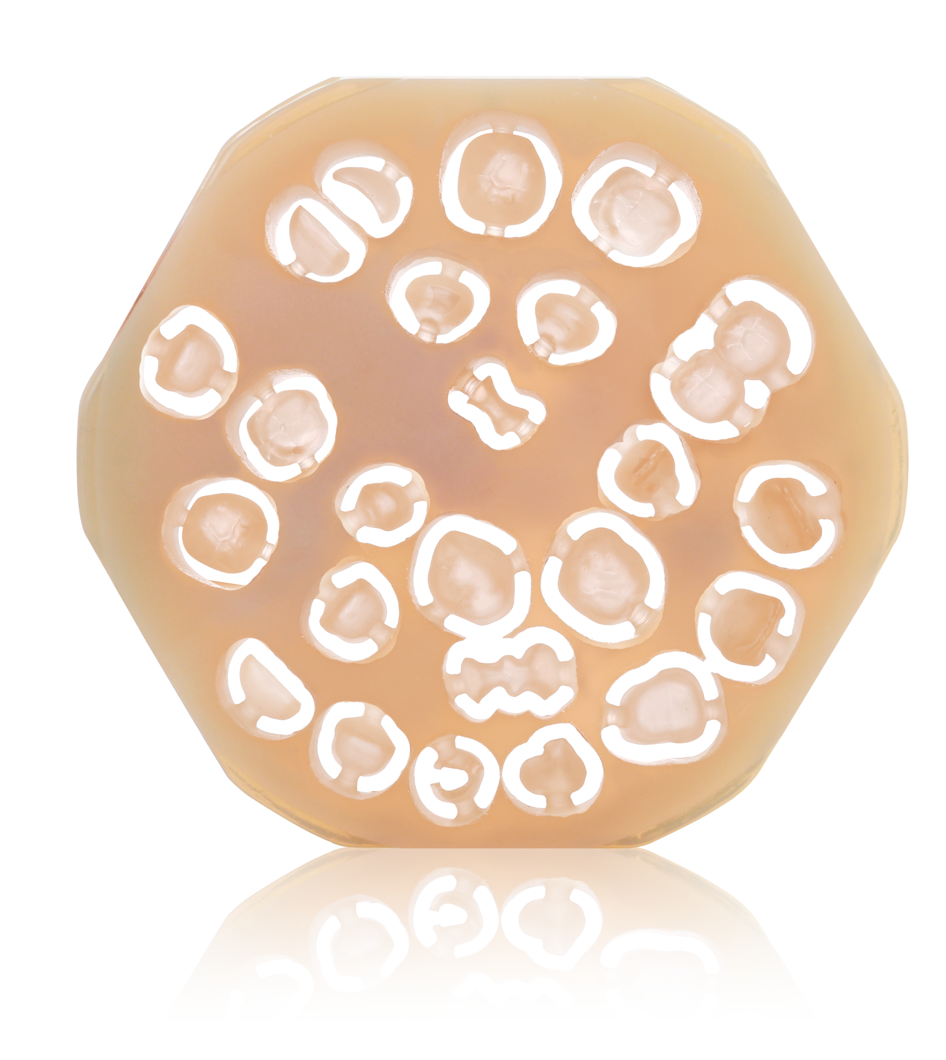 Amber Mill Lithium Disilicate CAD/CAM Discs (98x12mm diameter discs)