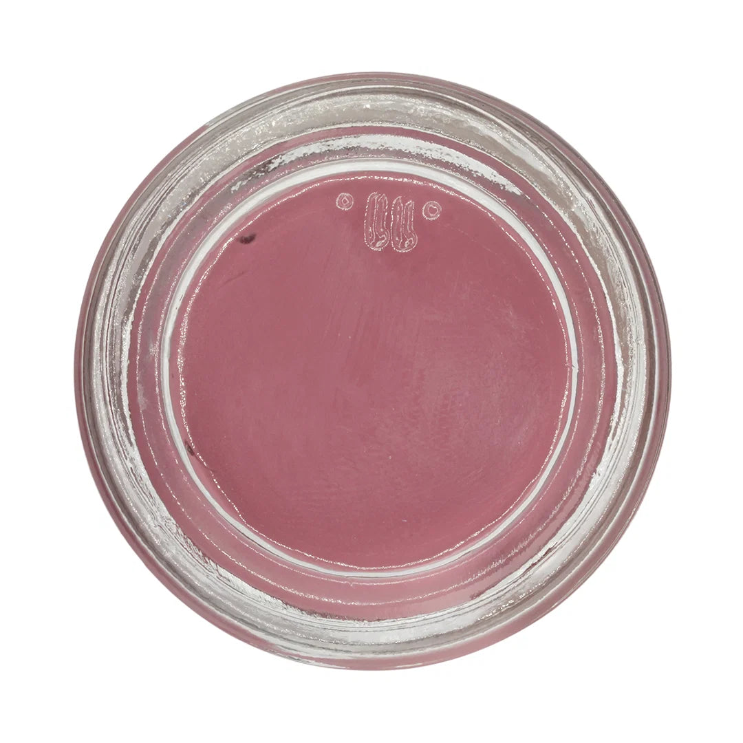 CGI Gum Shade Kit