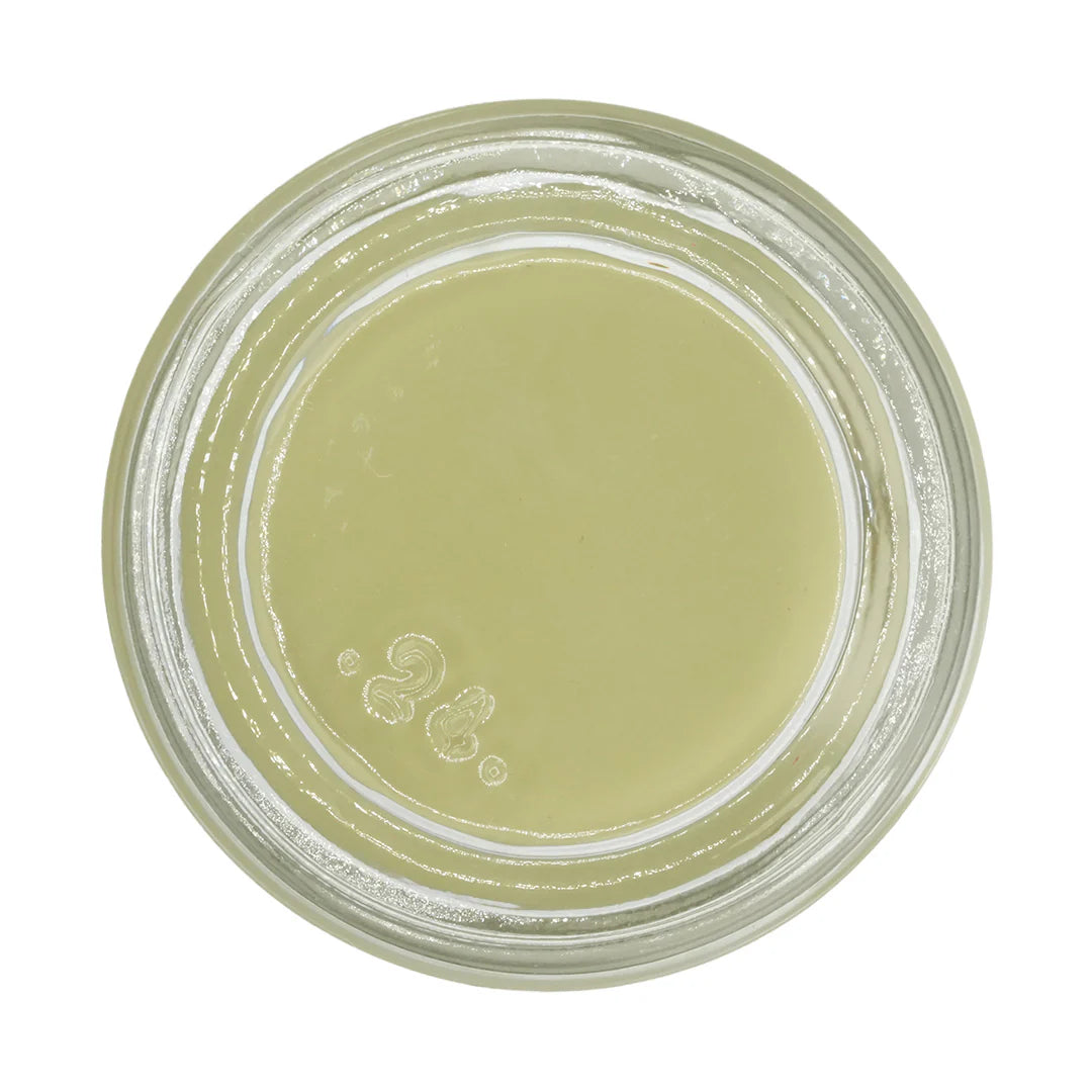 Dental Lab Stain Paste