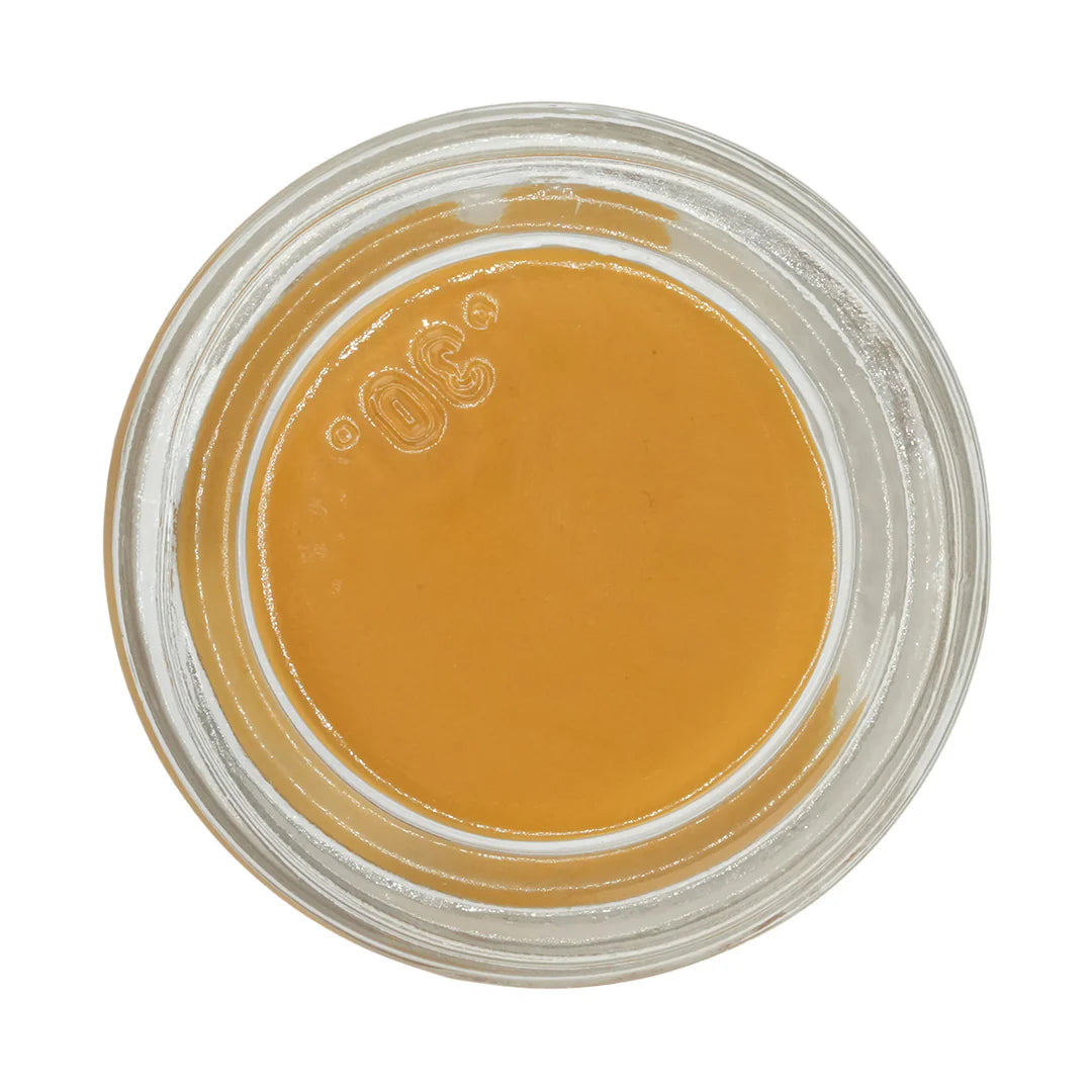 Dental Lab Stain Paste
