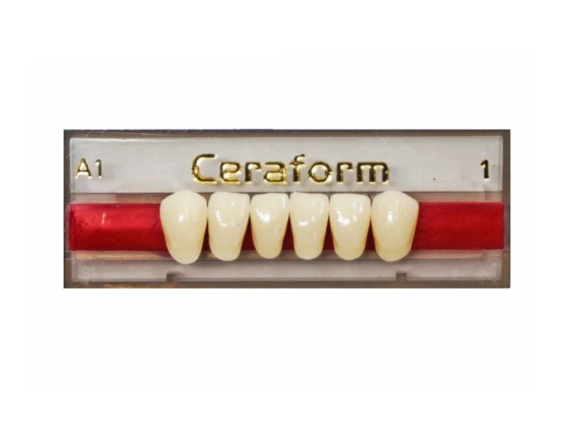 Ceraform Anterior Teeth - Lower