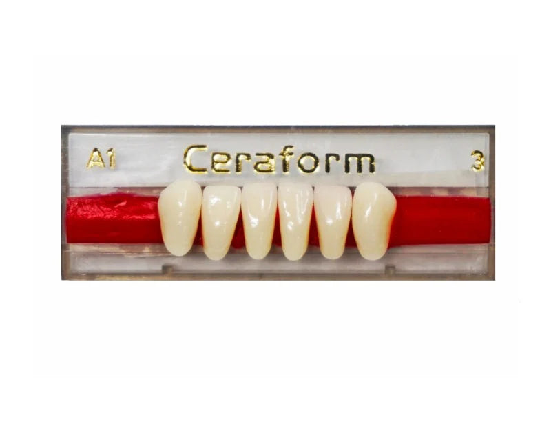 Ceraform Anterior Teeth - Lower
