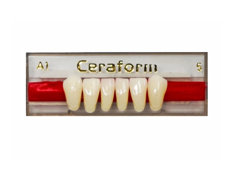 Ceraform Anterior Teeth - Lower