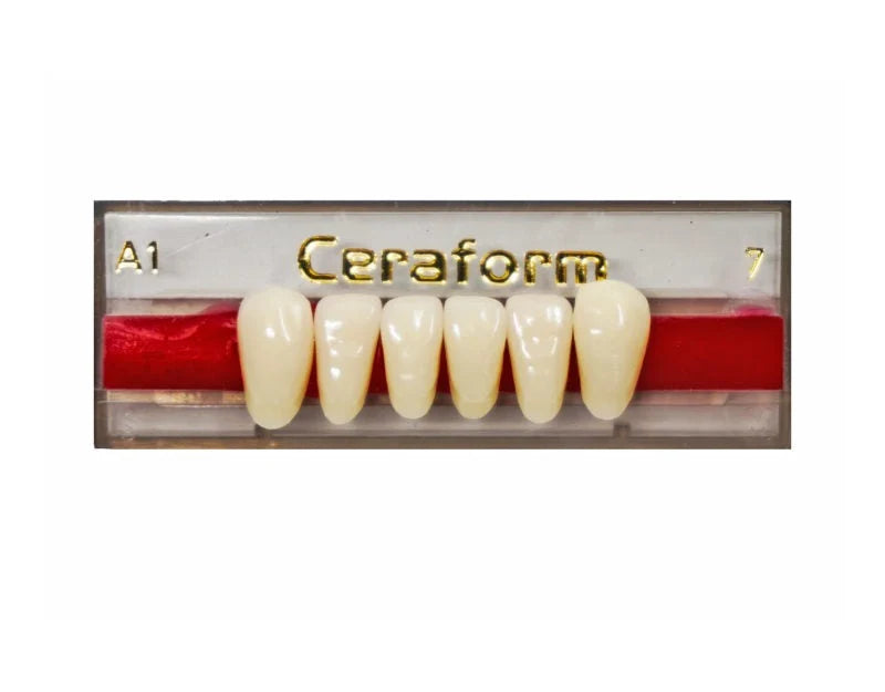 Ceraform Anterior Teeth - Lower