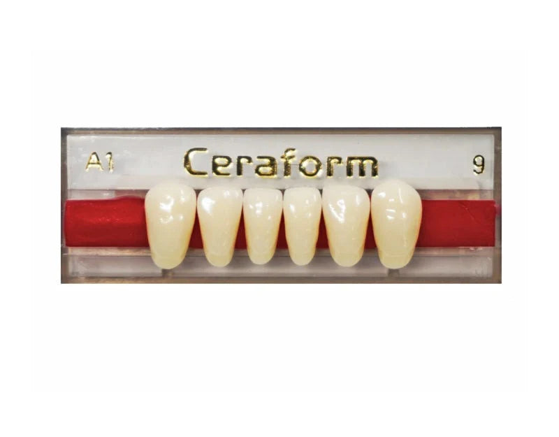 Ceraform Anterior Teeth - Lower