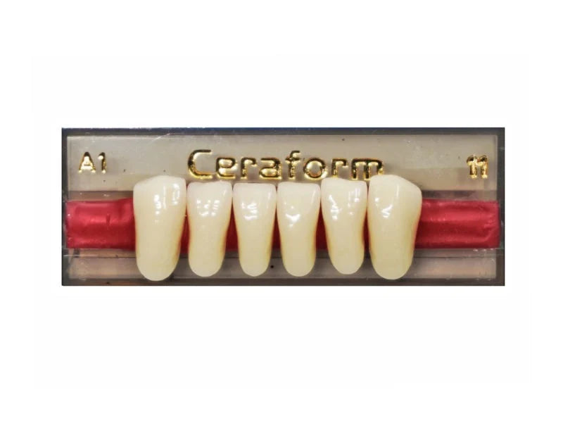 Ceraform Anterior Teeth - Lower