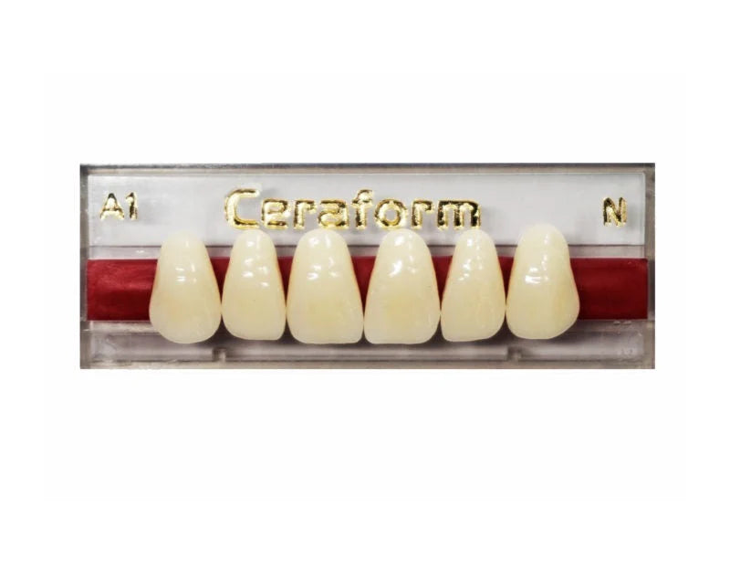 Ceraform Anterior Teeth - Upper