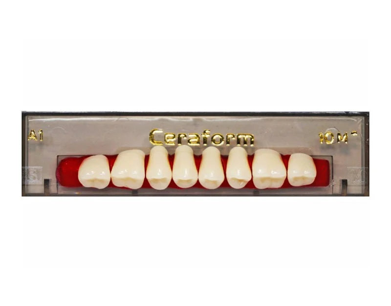 Ceraform Posterior Teeth