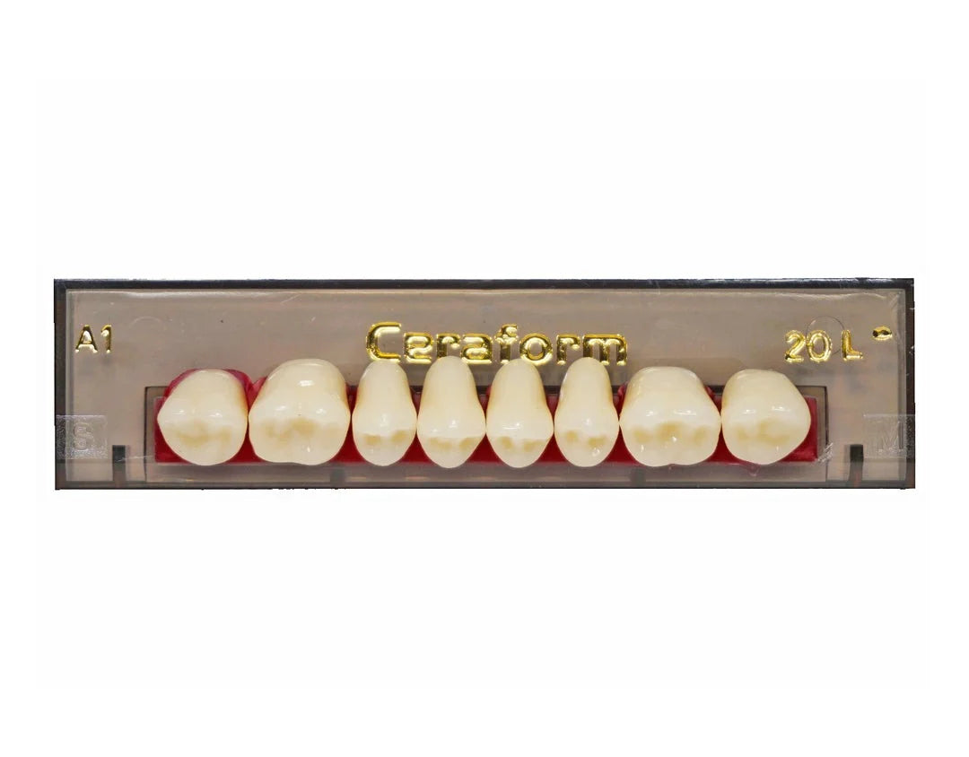 Ceraform Posterior Teeth