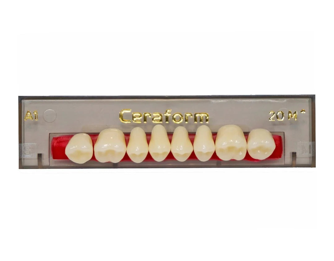 Ceraform Posterior Teeth