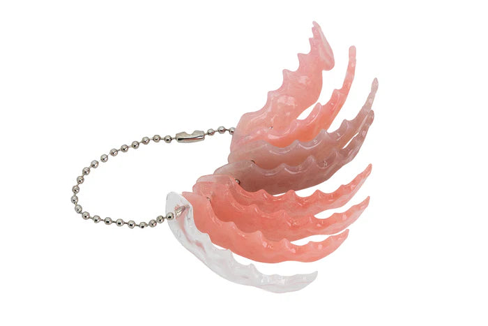 HUGE DENTAL USA NOBILDENT Denture Base Polymers