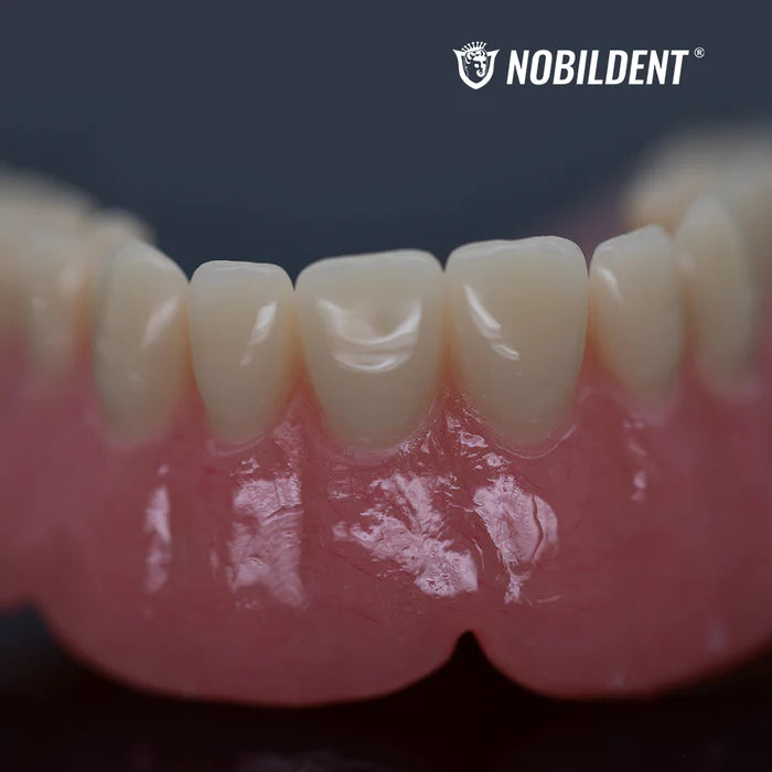 HUGE DENTAL USA NOBILDENT Denture Base Polymers