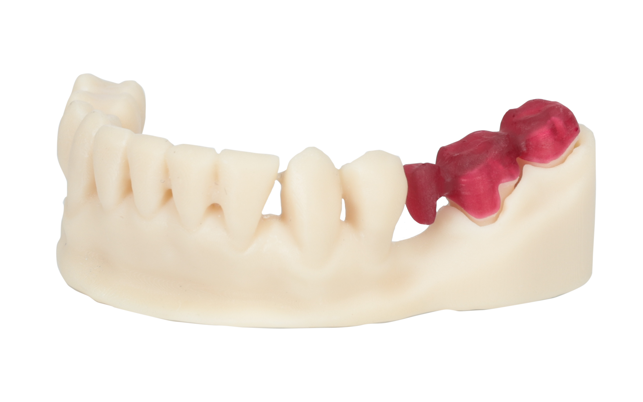 Portux 3D Model Cast Resin Red Color 1kg