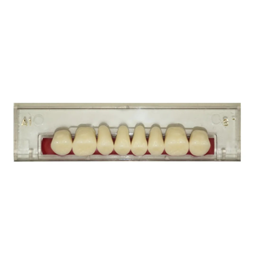 Porcelain Linear Occlusion Posteriors
