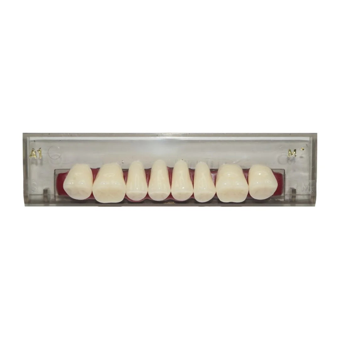 Porcelain Linear Occlusion Posteriors