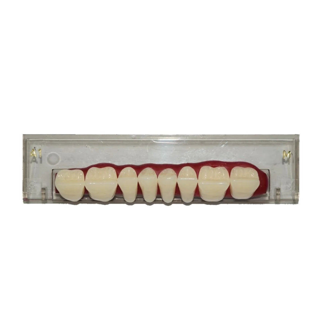 Porcelain Linear Occlusion Posteriors