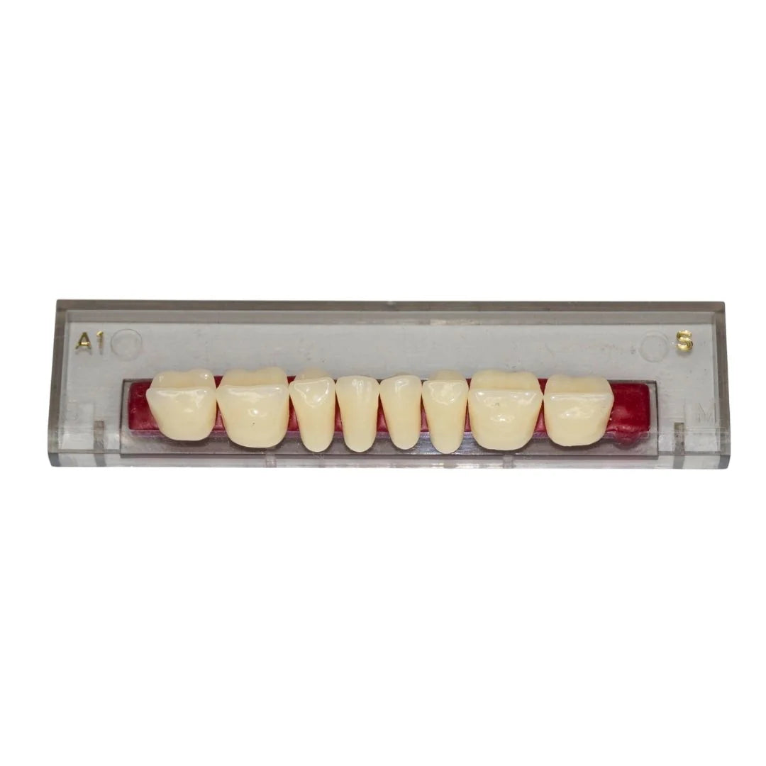 Porcelain Linear Occlusion Posteriors