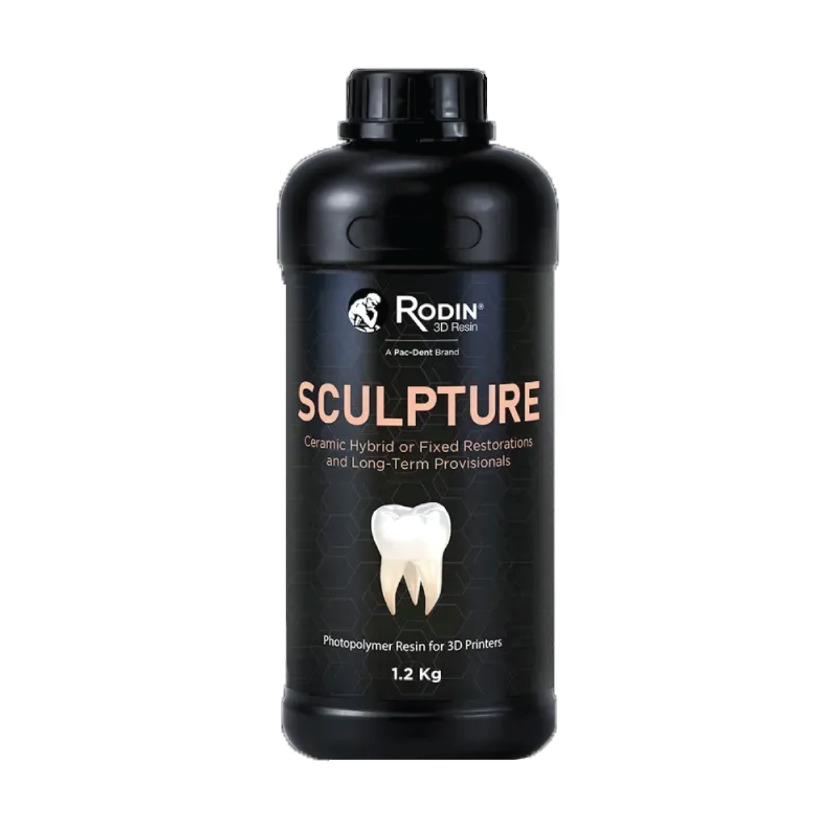 Rodin Sculpture Resin