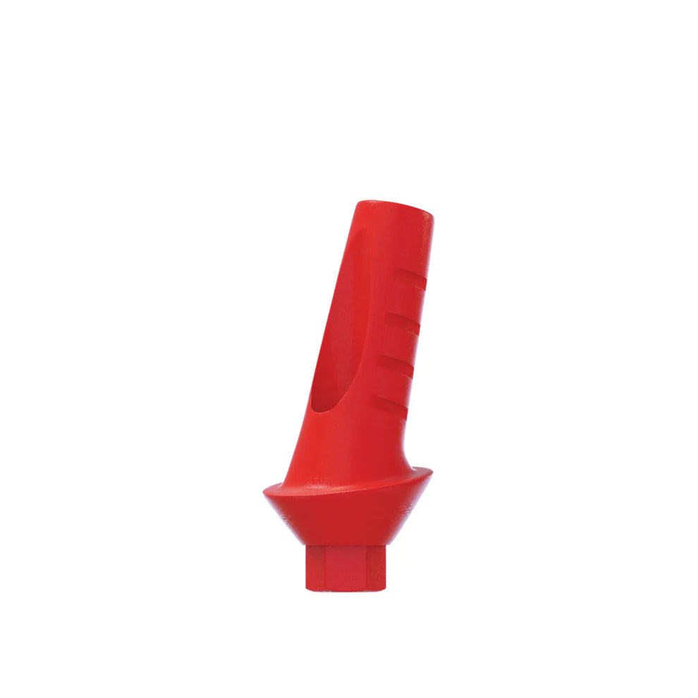 Angulated Castable Anatomic Abutment 15° Ø2.42mm