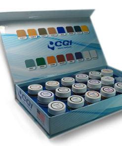 Paste Stain and Glaze Kit