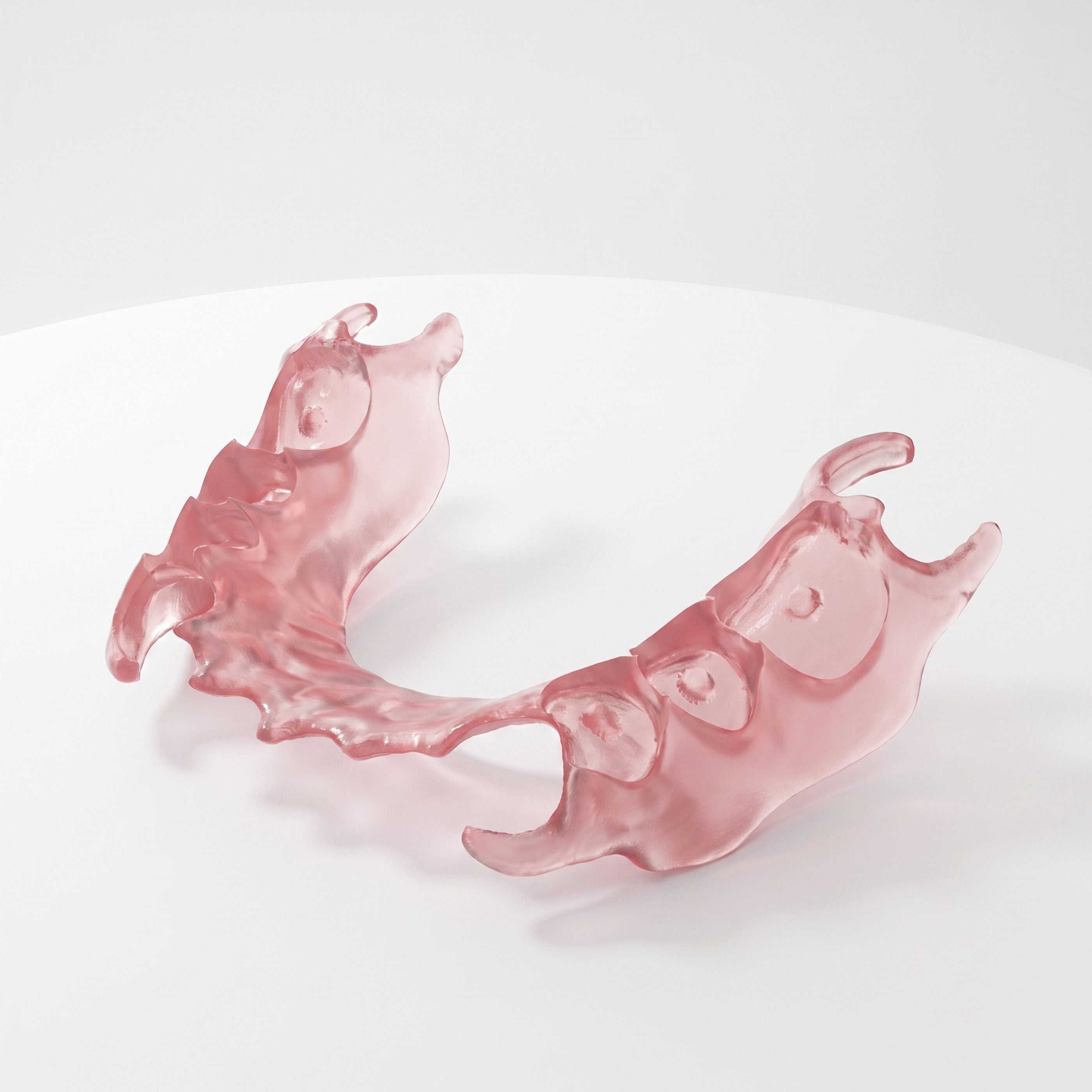 Flexible Denture Base Resin
