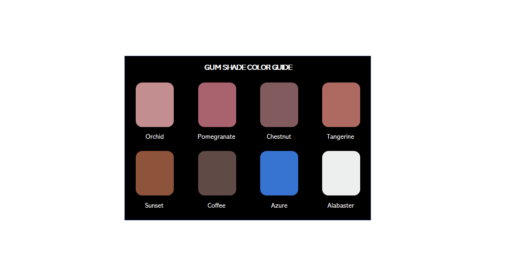Gum Shade Kit