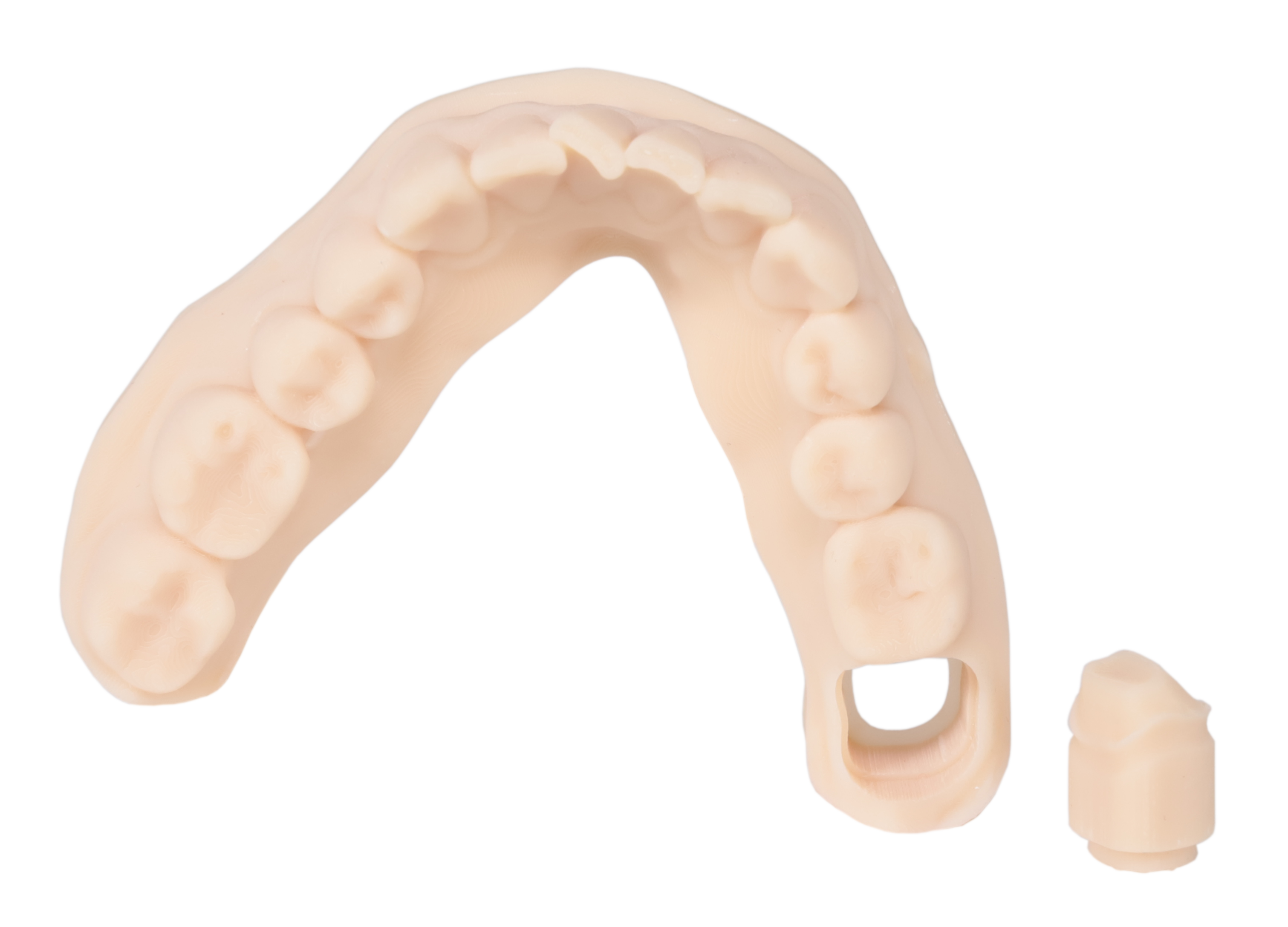 Portux 3D Model Resin Bone Color 1kg