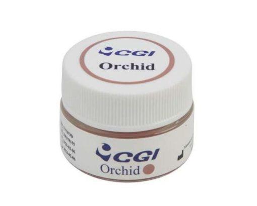 Gum Paste - Starcona Dental Supply