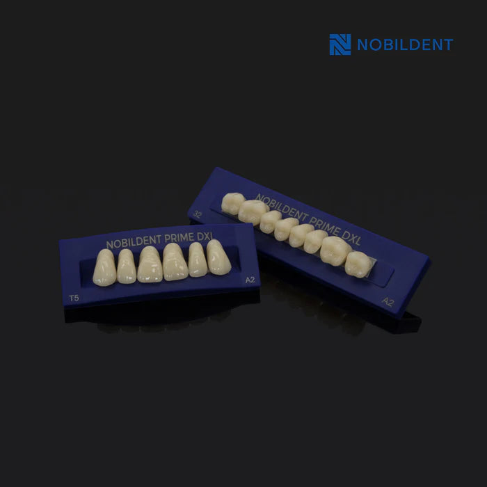 NOBILDENT Select XL Artificial Denture Teeth