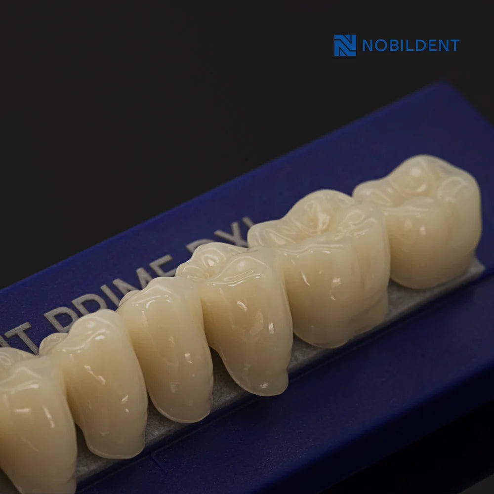 HUGE DENTAL USA NOBILDENT Prime DXL Artificial Denture Teeth