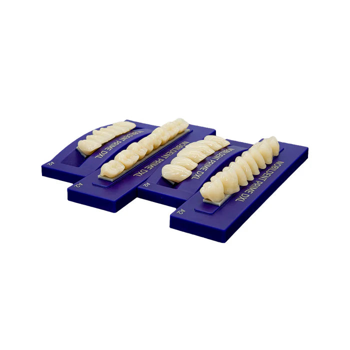 NOBILDENT Select XL Artificial Denture Teeth