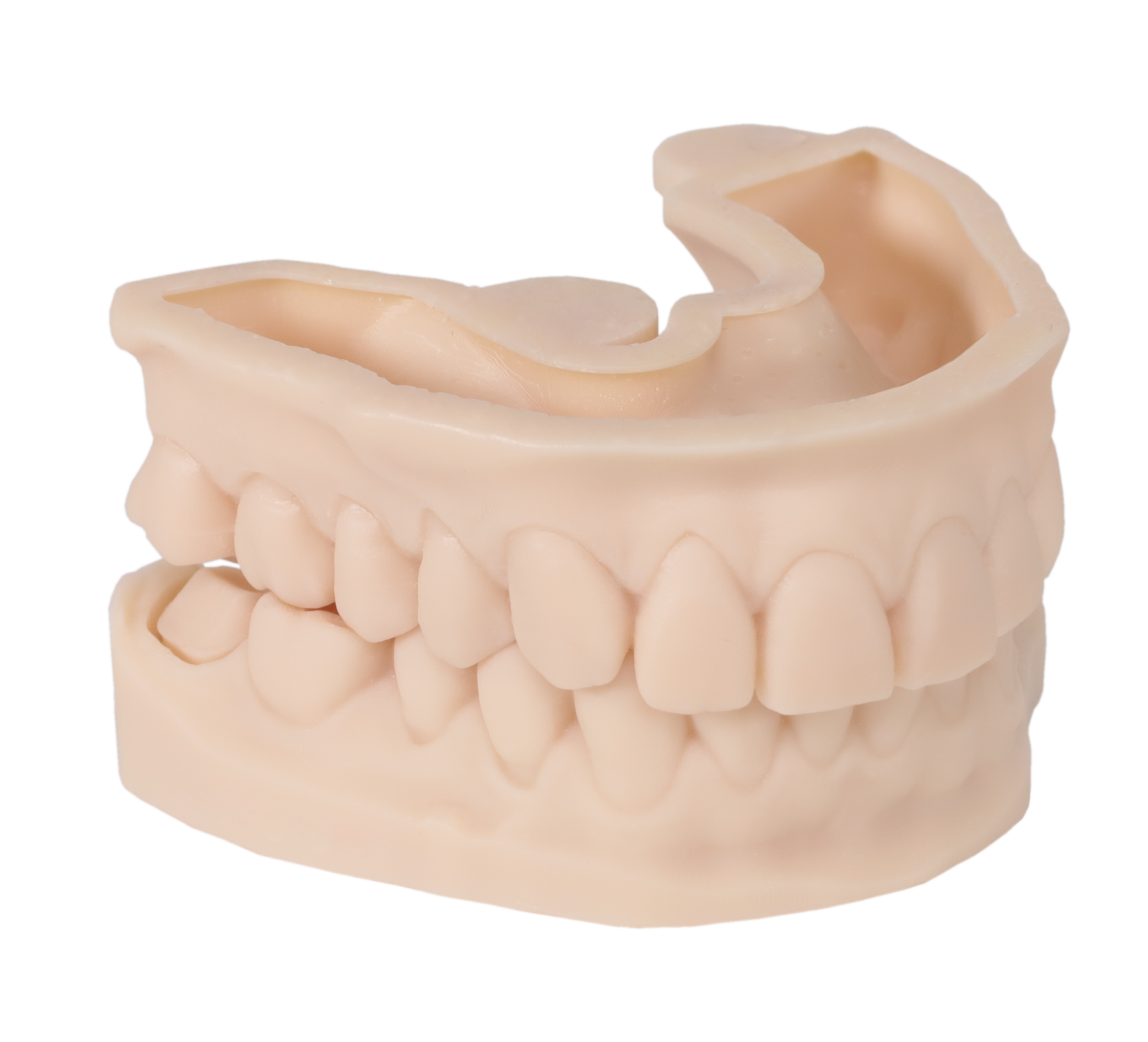 Portux 3D Model Resin Bone Color 1kg