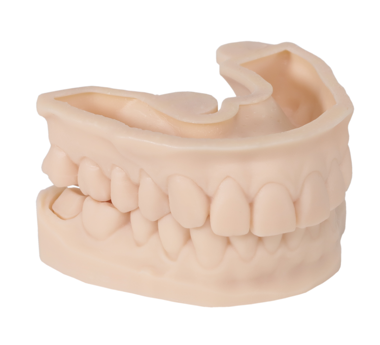 Portux 3D Model Resin Bone Color 1kg