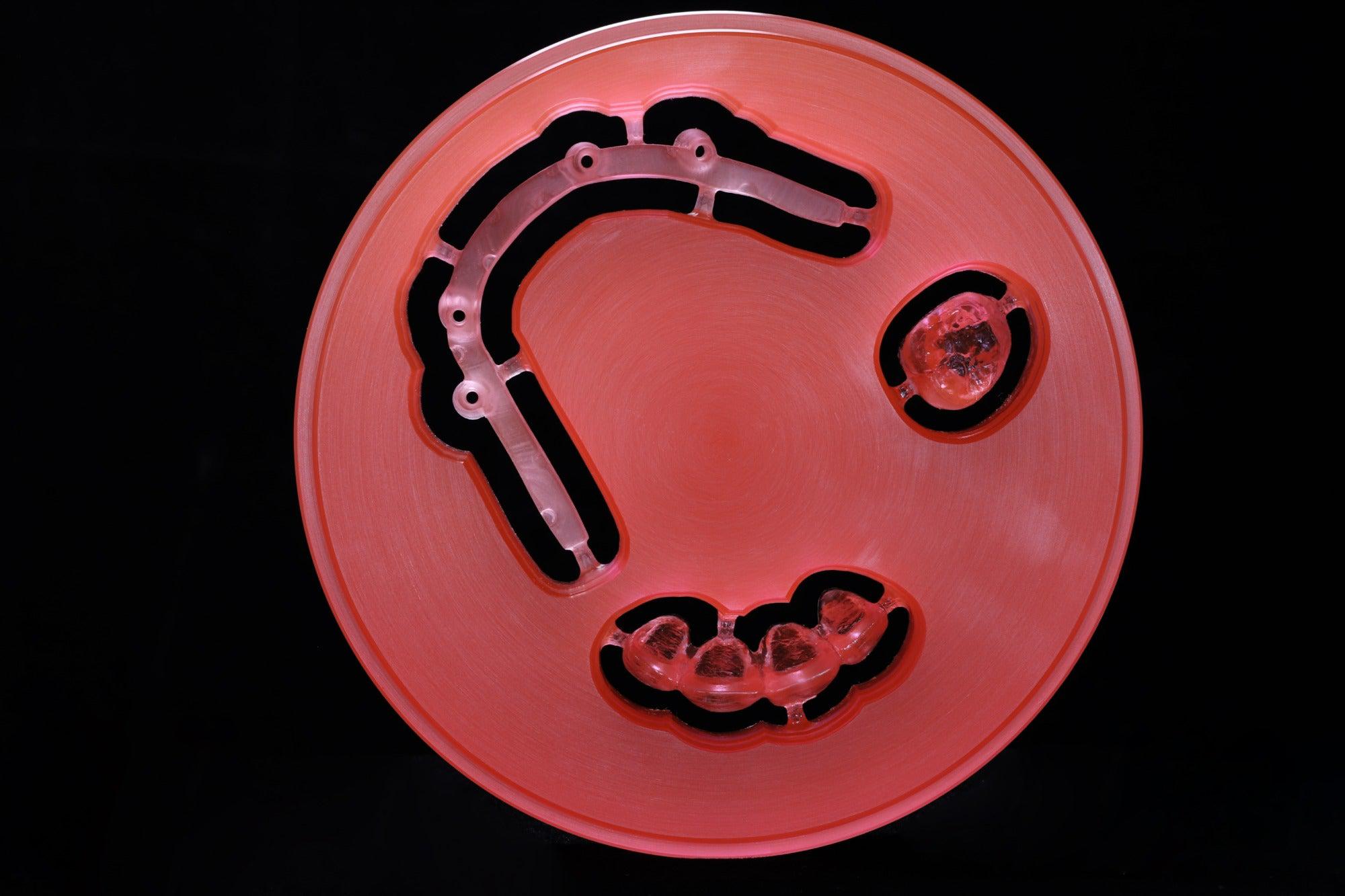 Portux PMMA Red Castable Discs