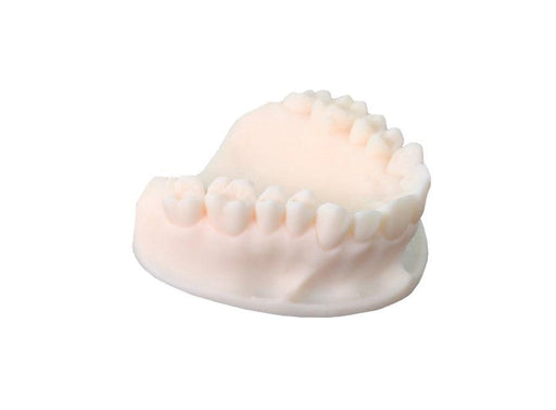 KeyModel Ultra Ivory - Starcona Dental Supply