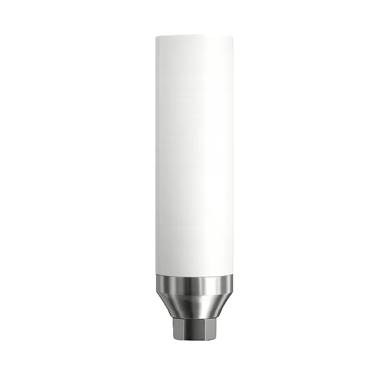 Chrome-Cobalt Base UCLA Hex Abutment g/h 1.5mm Ø2.42mm