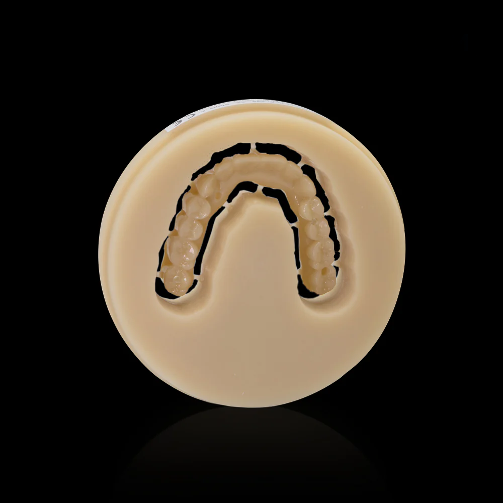 Vincismile NOBILCAM Monolayer PMMA 95MM